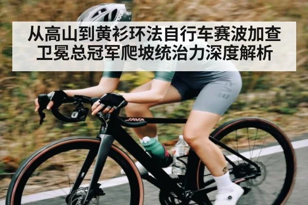 从高山到黄衫环法自行车赛波加查卫冕总冠军爬坡统治力深度解析
